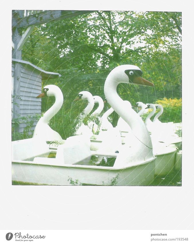 Old pedal boats in the form of swans stand lined up in the meadow. Abandoned amusement park. Bankruptcy, decline Leisure and hobbies Amusement Park Nature Plant