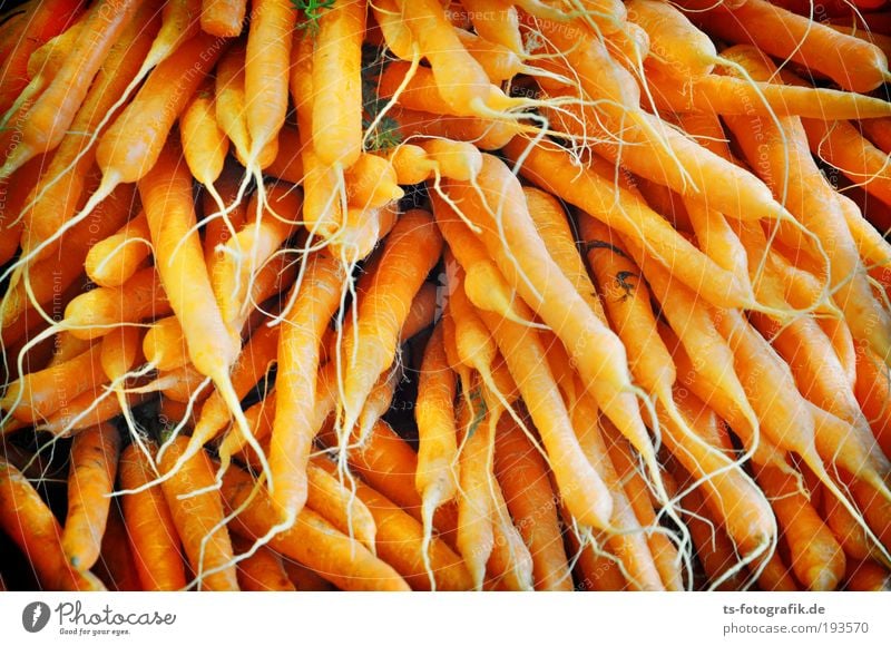 Osterhasen's favourite dream Food Vegetable Carrot Market stall Greengrocer Farmer's market Vitamin Vitamin A Root vegetable Healthy Looking Nutrition