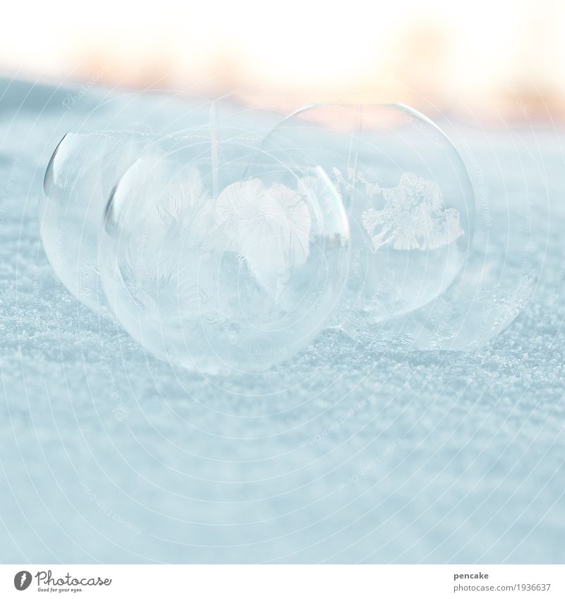 Happiness and Glass Design Happy Playing Landscape Winter Ice Frost Snow Beautiful Soap bubble Frostwork Snowscape Glass ball Globe Frozen Fragile Bursting