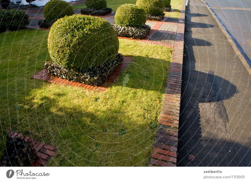 Spring at the Ruhr Street Road traffic Lanes & trails Garden Front garden Suburb Settlement Small Town House (Residential Structure) Gardener Clean accurate