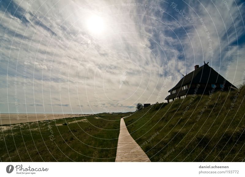 Amrum 5 Relaxation Calm Vacation & Travel Tourism Far-off places Freedom Summer Summer vacation Beach Ocean Island House (Residential Structure) Landscape Sky