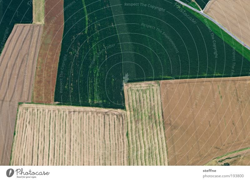 spring-ins field Meadow Field Esthetic View from the airplane Line Agriculture Colour photo Abstract Pattern Structures and shapes Bird's-eye view