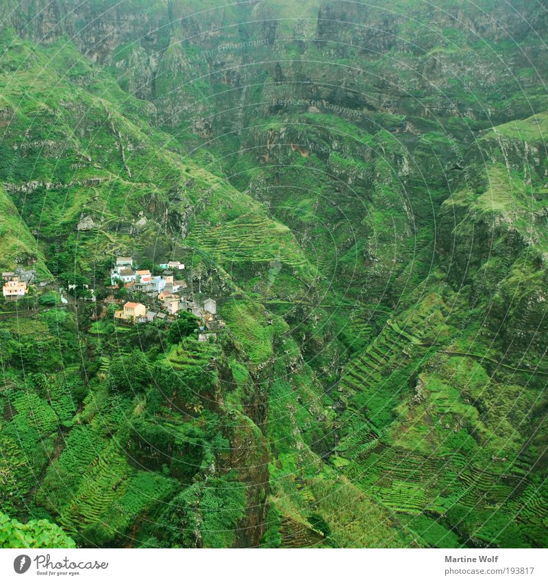 green in green in green in green in green Vacation & Travel Trip Adventure Far-off places Freedom Expedition Mountain Hiking Nature Landscape Canyon Cabo Verde