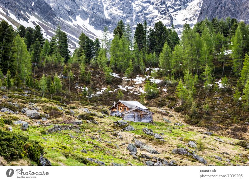 Mountain hut near the mountain lake Plant Spring Tree Grass Rock Alps Deserted Hut Relaxation Blue Green Quaint Loneliness Remote refugium Retreat Colour photo