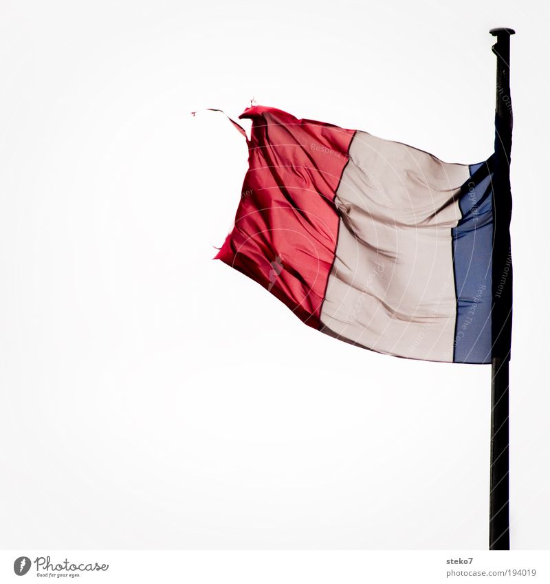 Vive la Franze Flag Loyal High spirits Paris France Tricolor Worn out Gale Wind French fray Blown away Judder Abrasion Impending crisis Crisis Colour photo