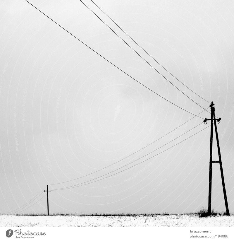 _i____Ä Electricity Transmission lines High voltage power line Energy industry Winter Snow Dreary Gray Black & white photo Cold Electricity pylon Clouds Rural