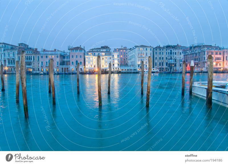 blue monday Venice Italy Port City Downtown Old town Uniqueness Vacation & Travel Canal Grande Wooden stake Twilight Blue Colour photo Exterior shot Deserted