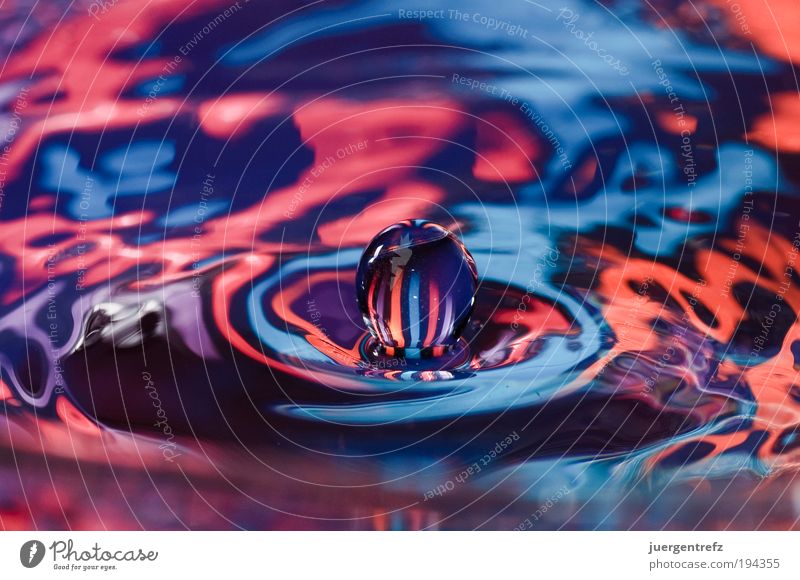 water polo Water Sphere Drop Exceptional Blue Multicoloured Violet Pink Red Emotions Movement Uniqueness Colour Idea Inspiration Power Colour photo Close-up