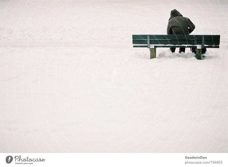 Analog Loneliness Environment Nature Climate change Weather Beautiful weather Snow Bench Breathe Think To enjoy Sustainability Green Emotions Moody Concern