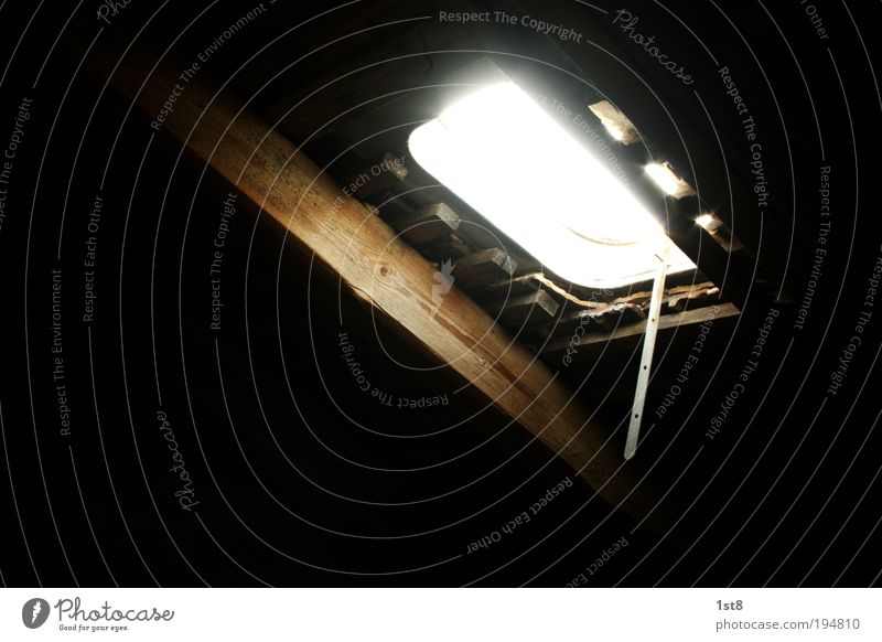 Luke Skywatcher House (Residential Structure) Manmade structures Building Architecture Skylight Window Roof Looking Illuminate Old Climate Calm Safety Hatch