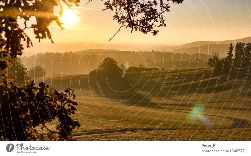 Sunrise on the Swabian Alb Environment Nature Landscape Cloudless sky Sunset Sunlight Autumn Beautiful weather Field Hill Deserted Relaxation Hiking Gold Moody