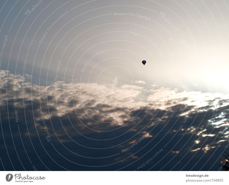 above the clouds Landscape Air Sky Sky only Clouds Means of transport Aviation Hot Air Balloon Observe Flying Far-off places Infinity Blue Perspective