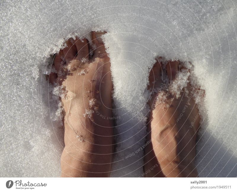 chilling Skin Pedicure Feminine Feet 1 Human being Elements Winter Ice Frost Snow Freeze Cool (slang) Cold Naked White Bravery Self Control Climate