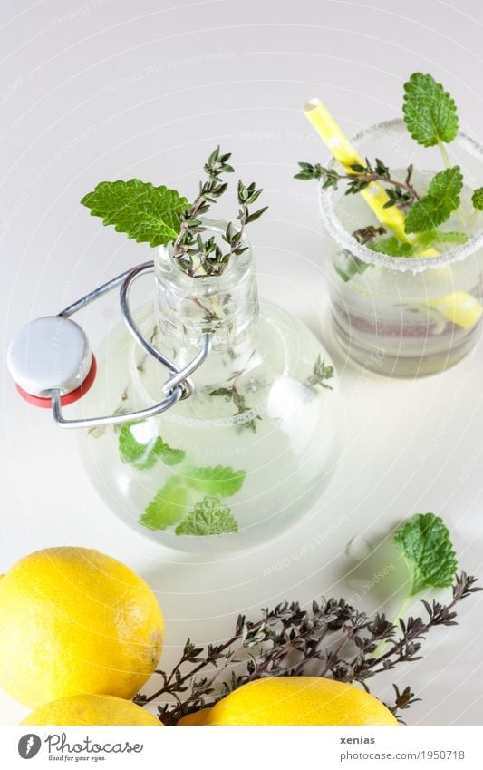 homemade lemonade with mint and thyme on white background Drinking water Lemon Herbs and spices Thyme Mint Beverage Cold drink Lemonade Bottle Glass Straw