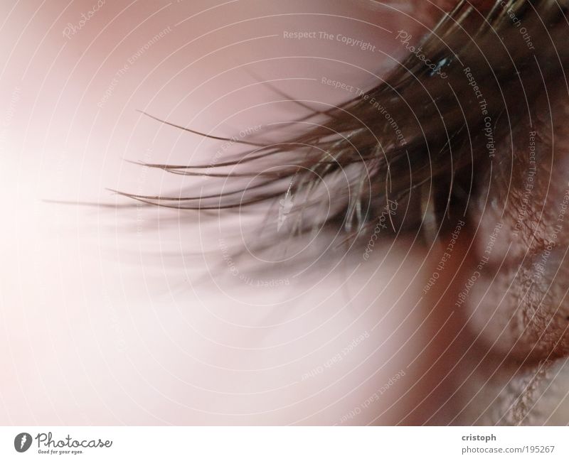 Close your eyes. Beautiful Hair and hairstyles Senses Relaxation Eyes Pink Red Eyelash Retroring Detail Macro (Extreme close-up) Shallow depth of field