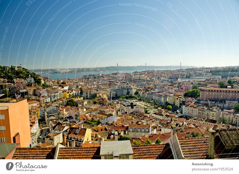 View of Lisbon Plant Air Sky Horizon Summer Weather Beautiful weather Hill River bank Río Tajo Portugal Town Capital city Downtown Populated