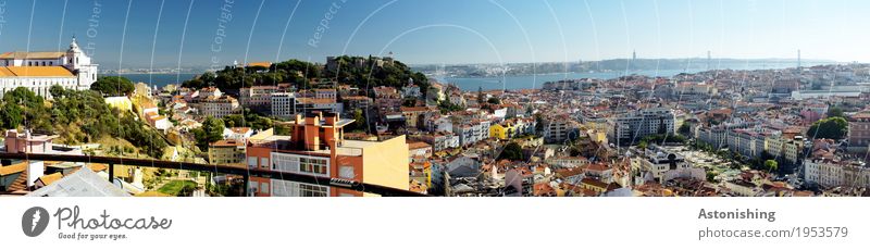 Lisbon in the panorama Environment Air Summer Weather Beautiful weather Warmth Tree Hill River bank Río Tajo Portugal Town Capital city Downtown