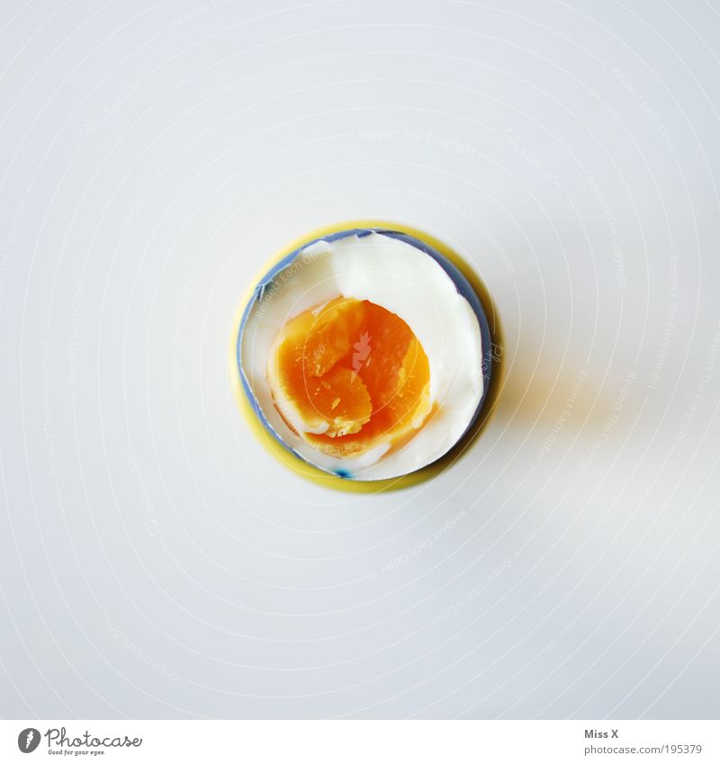 Easter egg Food Breakfast Organic produce Delicious Round Egg Albumin Yolk Isolated Image Colour photo Multicoloured Studio shot Close-up Deserted