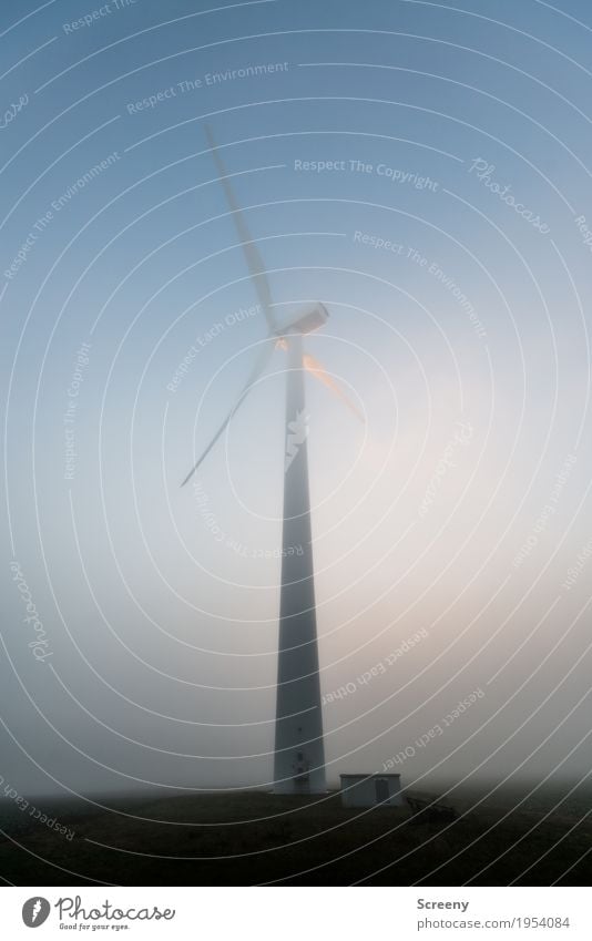the white giant Technology Energy industry Renewable energy Wind energy plant Environment Sky Autumn Fog Field Large Tall Environmental protection Colour photo