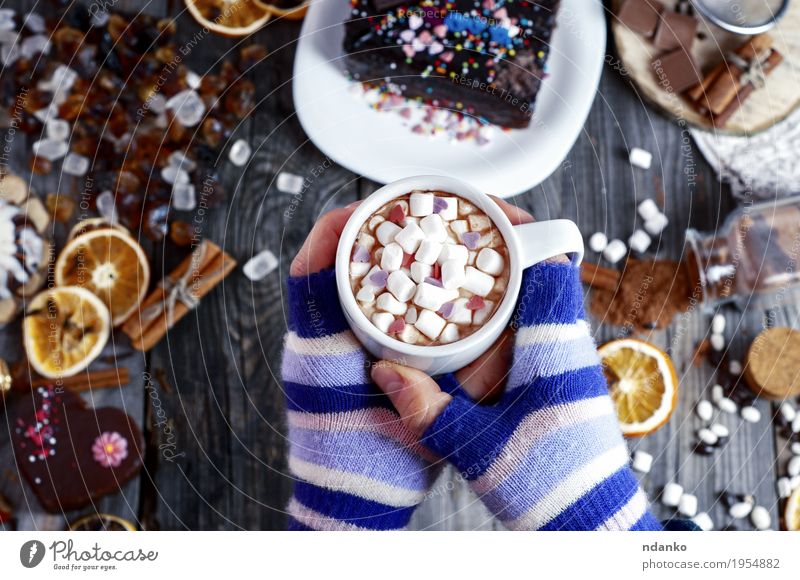 cup of hot cocoa in female hands Fruit Dessert Herbs and spices To have a coffee Beverage Hot Chocolate Coffee Mug Winter Table Young woman Youth (Young adults)