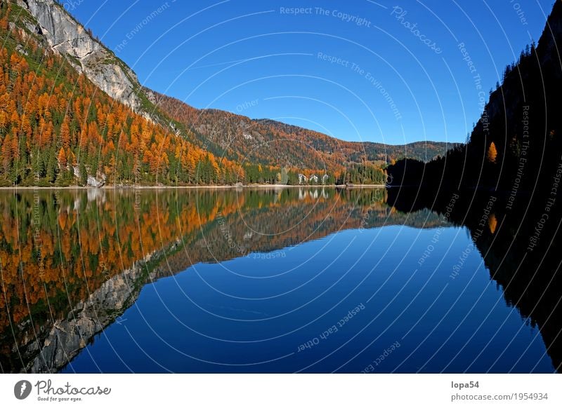 Braies Lake in the Dolomites, South Tyrol, Italy Environment Nature Landscape Plant Water Sky Sunlight Autumn Beautiful weather Tree Foliage plant Larch Forest
