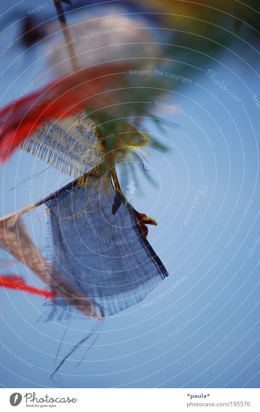 fluttering of flags Summer Cloudless sky Wind Characters Flag Movement Flying Hang Dream Fresh Infinity Soft Blue Yellow Red Happy Joie de vivre (Vitality) Life