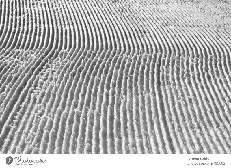 Black runway - No. 8 Winter sports Ski run Nature Landscape Snow Cold Tracks tracked Ski piste Black & white photo Exterior shot Structures and shapes Contrast