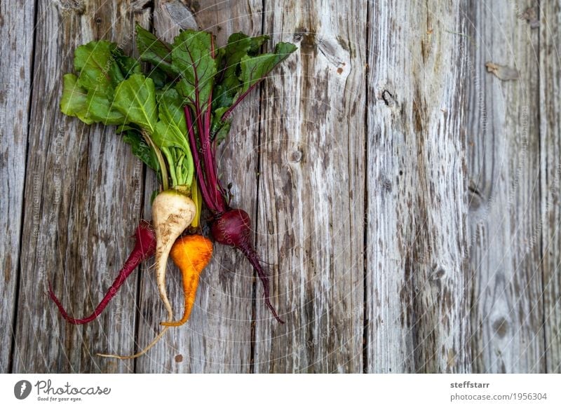 Red, orange and yellow beets Vegetable Nutrition Table Nature Plant Agricultural crop Natural Brown Yellow Green Orange Red beet Farm Organic Produce