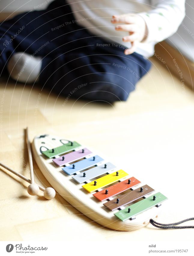 Early musical education Parenting Child Baby Toddler Infancy 1 Human being 0 - 12 months 1 - 3 years Music Musician Xylophone Glockenspiel Discover Crawl Study