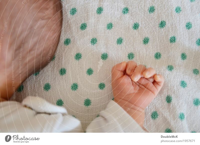 Back of the head and hand of a baby Human being Baby Skin Head Hair and hairstyles by hand Fingers 1 0 - 12 months brunette Point Relaxation Lie Sleep Small