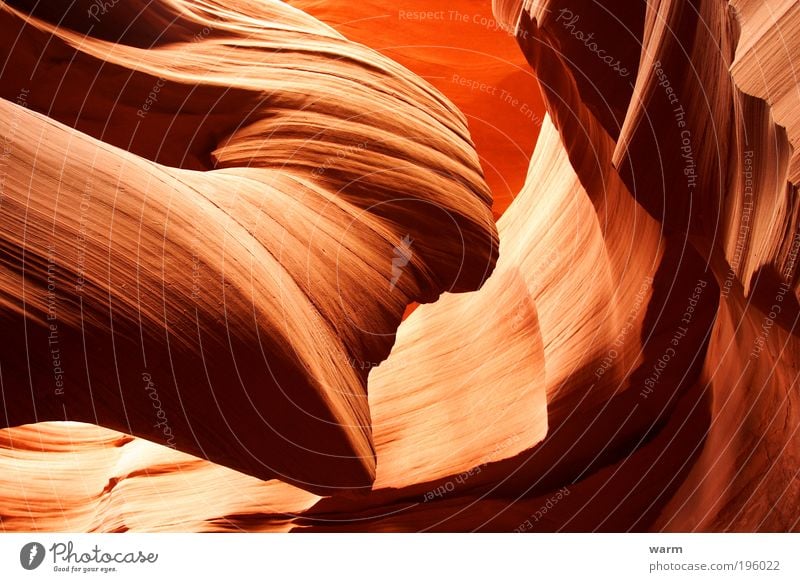 Antelope Canyon Nature Earth Brown Yellow Red Power Passion Calm Colour photo Exterior shot Deserted Day Light Shadow Contrast Light (Natural Phenomenon)