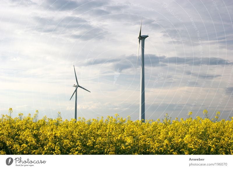 Wind turbines via Rapsfeld Technology High-tech Energy industry Renewable energy Wind energy plant Industry Environment Nature Landscape Plant Sky Summer
