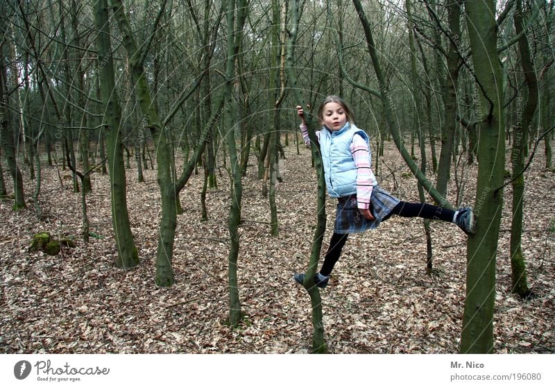 lllllll-lll Adventure Hiking Child Infancy Nature Tree Forest Woodground Climbing Splits Vest Brash Playing Action Autumn Tights To hold on Leaf foliage