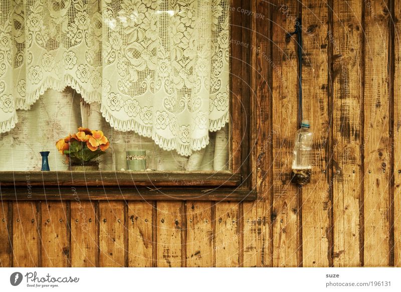 window frame Living or residing Flat (apartment) Flower Hut Window Wood Old Simple Retro Brown Nostalgia Past Transience Artificial flowers Flowerpot