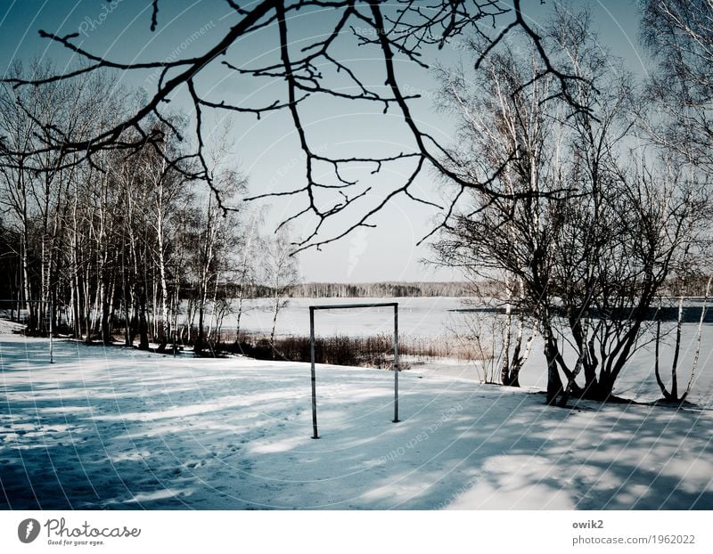 Goalless Environment Nature Landscape Cloudless sky Horizon Winter Beautiful weather Ice Frost Snow Tree Bushes Lake Wood Stand Wait Bright Cold Gloomy Patient