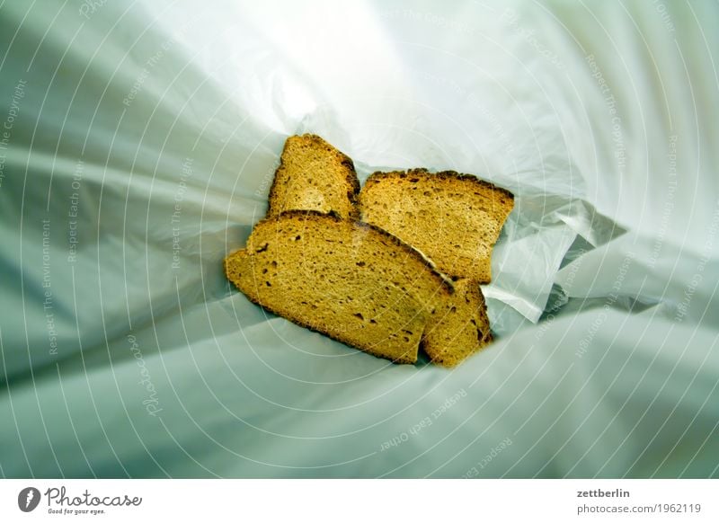 Light approach of mould Trash Biogradable waste Bread Healthy Eating Dish Food photograph Deserted Slice Slice of bread Sandwich Mold Bag Copy Space Paper bag