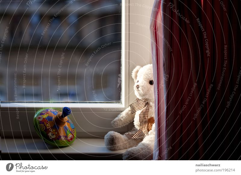 At the window Leisure and hobbies Playing Living or residing Flat (apartment) Decoration Children's room Toys Teddy bear Gyroscope Emotions Contentment