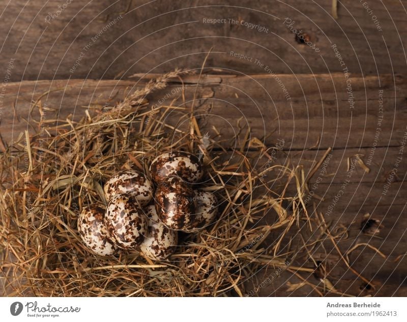 Easter nest on wooden table Life Nature Old Background picture Nest Protein Symbols and metaphors "Easter nest Easter eggs," Easter egg nest Straw Wooden table