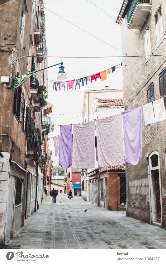 Washing day - purple and coloured Harmonious Calm Living or residing Human being Venice Italy Town Downtown Old town House (Residential Structure)