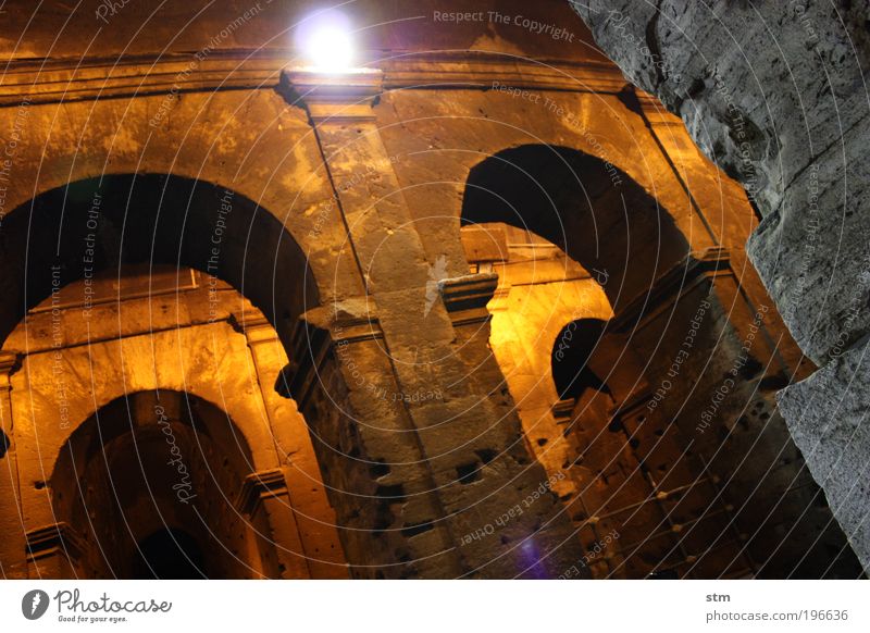Colosseum at night Vacation & Travel Tourism Trip Far-off places Freedom Sightseeing City trip Summer Summer vacation Night life Entertainment Art Work of art