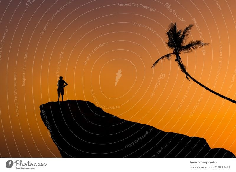 Silhouette of Man, Rock & Palm at Sunset Exotic Vacation & Travel Tourism Far-off places Freedom Summer Beach Ocean Masculine Adults 1 Human being Sky Tree