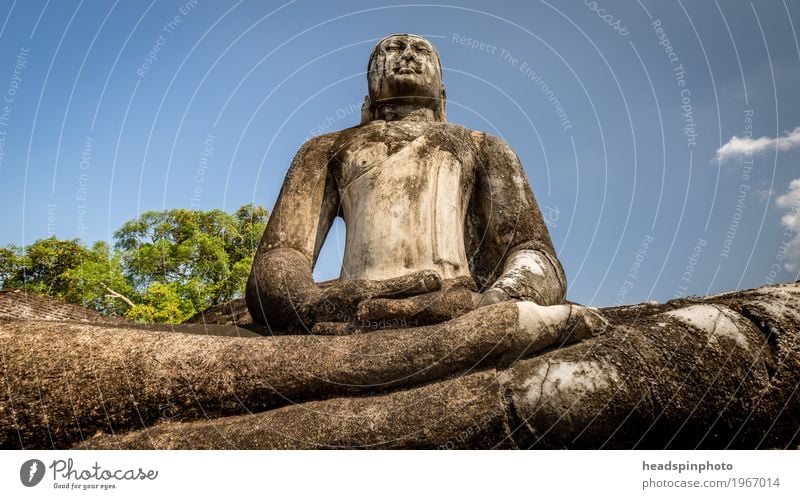 Buddha statue made of stone in front of blue sky Vacation & Travel Tourism Trip Adventure Far-off places Sightseeing Sri Lanka Contentment