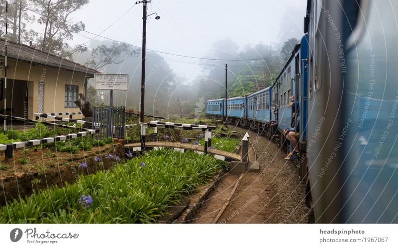 Train journey in Sri Lanka Vacation & Travel Tourism Trip Adventure Far-off places Freedom Public transit Train travel Rail transport Railroad Engines