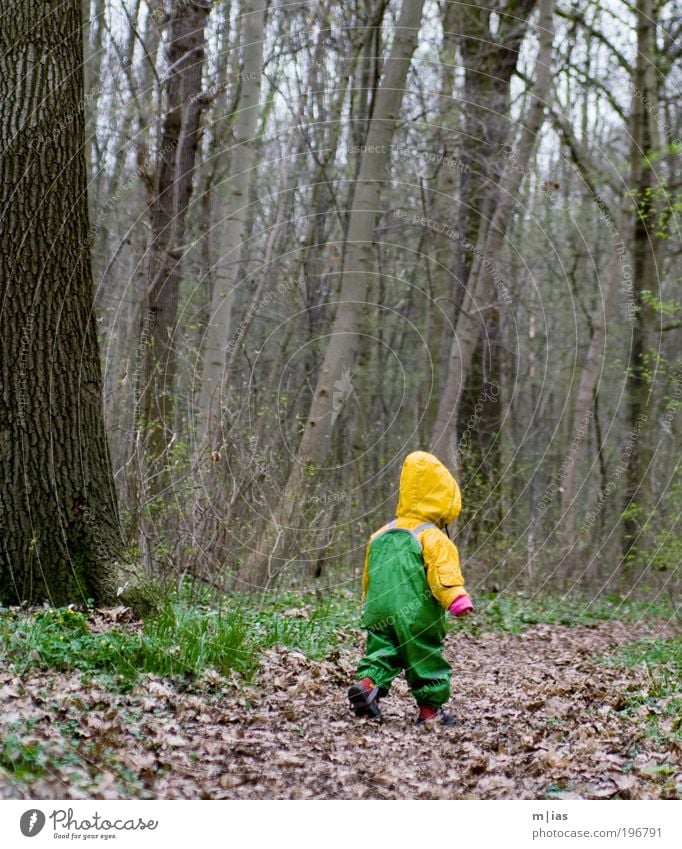 small ranger Androgynous Child Toddler Girl Boy (child) Infancy Life 1 Human being 1 - 3 years Environment Nature Plant Earth Autumn Bad weather Wind Rain Tree