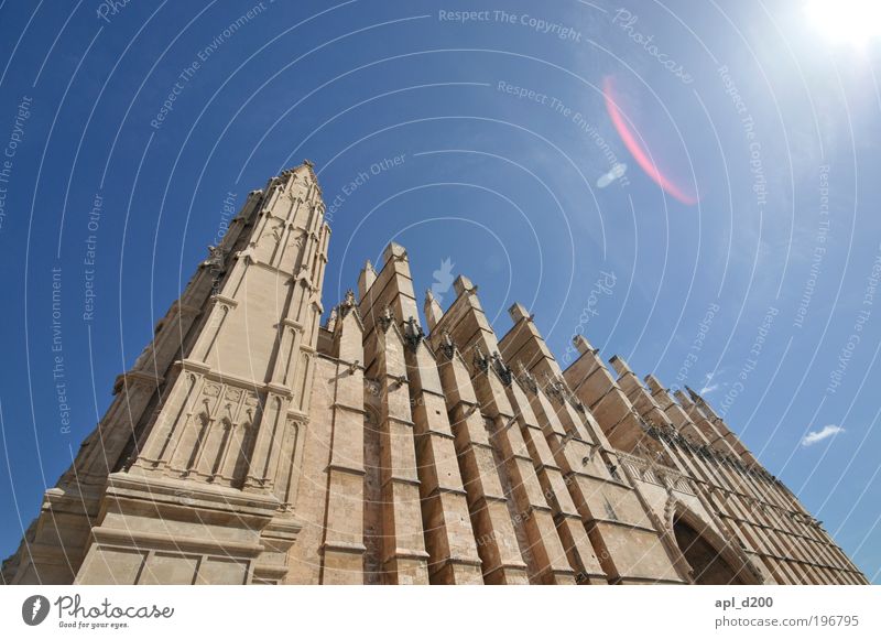 La Seu Vacation & Travel Tourism Art Palma de Majorca House (Residential Structure) Church Dome Wall (barrier) Wall (building) Tourist Attraction Landmark Stand