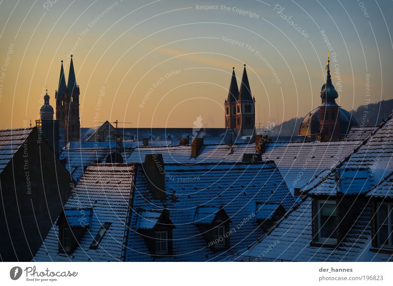 cathedral points Würzburg Franconia Europe Town Skyline House (Residential Structure) Church Dome Castle Window Door Roof Eaves Chimney Tourist Attraction