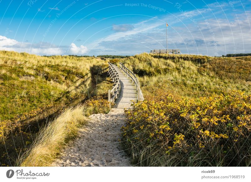 Landscape in the dunes on the island of Amrum Relaxation Vacation & Travel Tourism Island Nature Clouds Autumn Tree Bushes Coast North Sea Bridge Lanes & trails