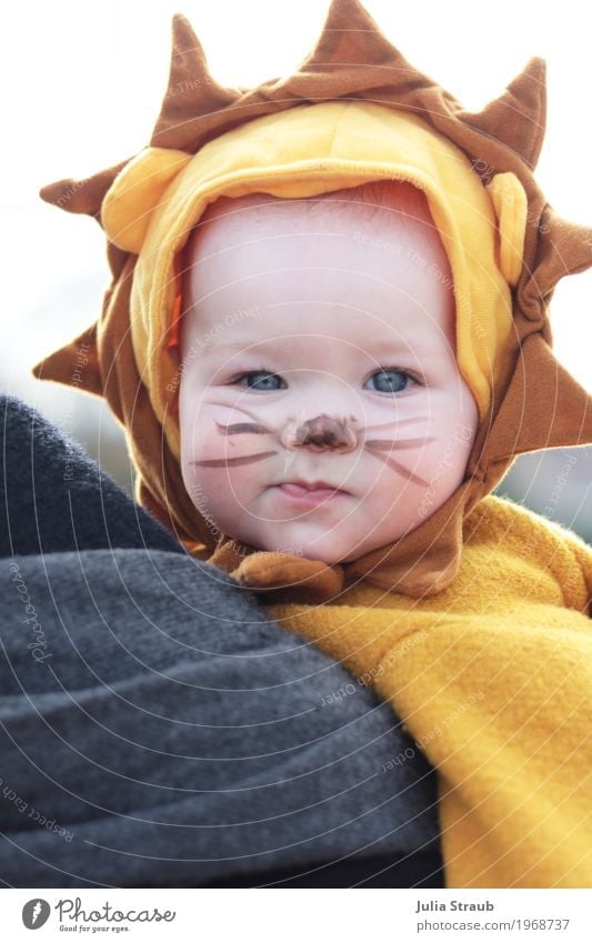 baby lion Joy Carnival Feminine Baby Infancy Head 1 Human being 0 - 12 months Circus Zoo Wild animal Animal face Pelt Lion Looking Cool (slang) Funny Beautiful