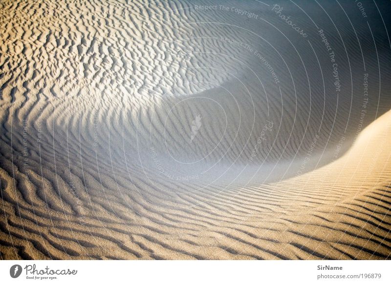 Dune at sunset Harmonious Freedom Expedition Summer vacation Nature Landscape Elements Sand Sunrise Sunset Beautiful weather Coast Beach Desert Deserted