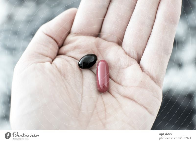 Black or red? Food Nutrition Human being Masculine Hand 1 Lie Esthetic Authentic Red Joy Happy Judicious Pill Sick Elections Election campaign